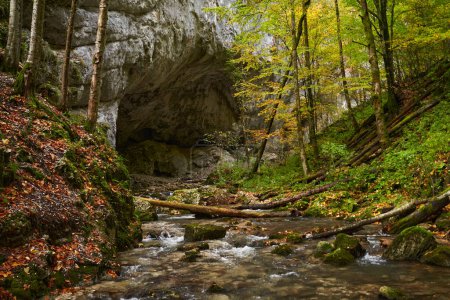 Téléchargez les photos : Paysage automnal vibrant d'une grande entrée de grotte avec une rivière qui y coule - en image libre de droit