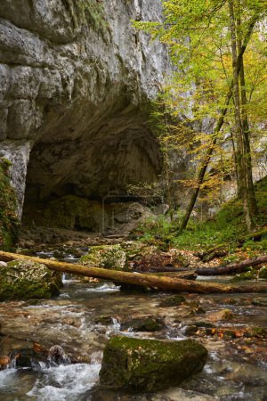 Foto de Vibrante paisaje otoñal de una gran entrada a la cueva con un río que fluye a través de ella - Imagen libre de derechos