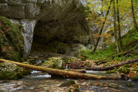 Foto de Vibrante paisaje otoñal de una gran entrada a la cueva con un río que fluye a través de ella - Imagen libre de derechos