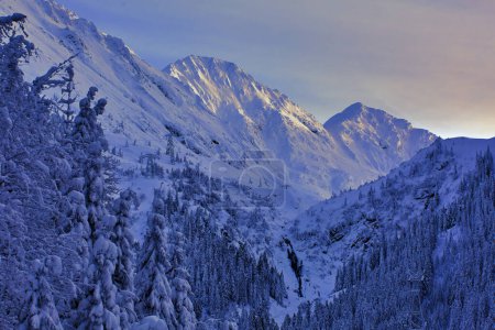 Foto de Altas montañas empolvadas de nieve en la luz del atardecer - Imagen libre de derechos