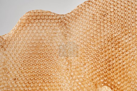 Photo for Closeup of a honey comb, empty without bees or honey inside, useful as background, texture or illustrative - Royalty Free Image