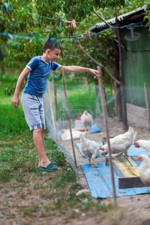 Foto de Retrato completo de un niño alimentando gallinas en el campo - Imagen libre de derechos
