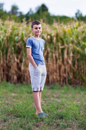 Téléchargez les photos : Portrait d'un garçon heureux debout près d'un champ de maïs - en image libre de droit