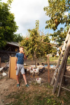 Foto de Lindo chico de pie cerca del recinto de pollo en el campo - Imagen libre de derechos