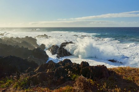 Téléchargez les photos : Paysage marin sur le rivage de Tenerife avec l'océan Atlantique, vagues s'écrasant sur la rive volcanique - en image libre de droit