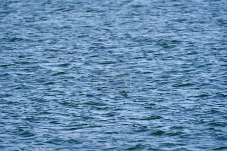 Téléchargez les photos : Vagues sur un lac par une journée ensoleillée au printemps - en image libre de droit