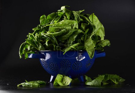 Photo for Closeup of spinach in a pile, freshly picked from the garden - Royalty Free Image