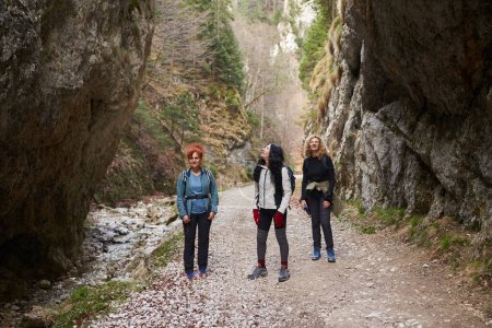 Téléchargez les photos : Randonneuses avec sacs à dos comme amis randonnées en montagne à travers la forêt - en image libre de droit