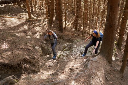 Téléchargez les photos : Femmes randonneurs avec sac à dos comme amis randonnée dans les montagnes à travers la forêt - en image libre de droit