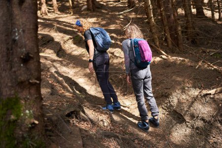 Téléchargez les photos : Femmes randonneurs avec sac à dos comme amis randonnée dans les montagnes à travers la forêt - en image libre de droit