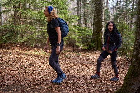 Téléchargez les photos : Randonneuses comme amies randonnées en montagne à travers la forêt - en image libre de droit