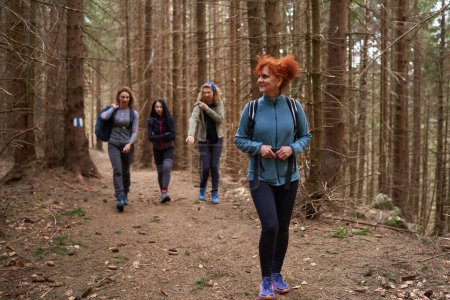 Téléchargez les photos : Randonneurs avec sacs à dos comme amis randonnée en forêt - en image libre de droit