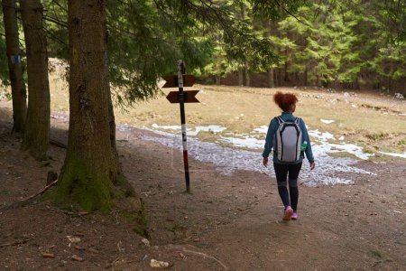 Photo for Woman with backpack hiking alone on a trail in the mountains, through the forest - Royalty Free Image