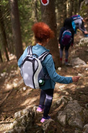 Téléchargez les photos : Groupe de randonneurs avec sacs à dos sur le sentier en montagne - en image libre de droit