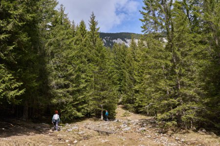 Photo for Group of hikers with backpacks on trail in mountains - Royalty Free Image