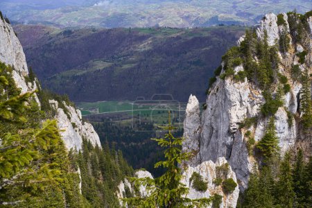 Téléchargez les photos : Paysage avec des montagnes calcaires rocheuses et des forêts de pins au début de l'été - en image libre de droit