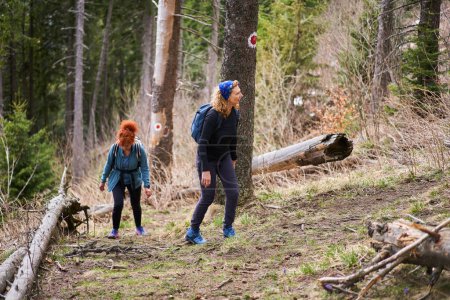 Téléchargez les photos : Femmes avec sacs à dos randonnée sur sentier dans les montagnes avec forêt de pins au début du printemps - en image libre de droit