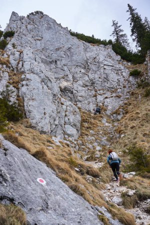 Téléchargez les photos : Femmes avec sacs à dos randonnée sur un sentier de montagne - en image libre de droit