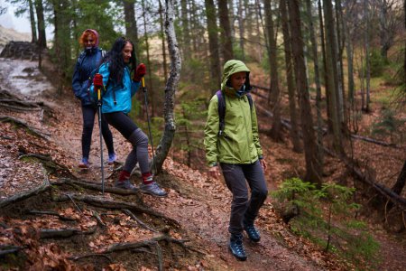 Téléchargez les photos : Women with backpacks hiking on a rainy day in the mountains - en image libre de droit