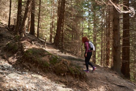 Foto de Mujer con mochila senderismo en un sendero en el bosque de pinos en una montaña - Imagen libre de derechos