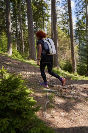 Téléchargez les photos : Femme avec sac à dos randonnée sur un sentier dans la pinède sur une montagne - en image libre de droit