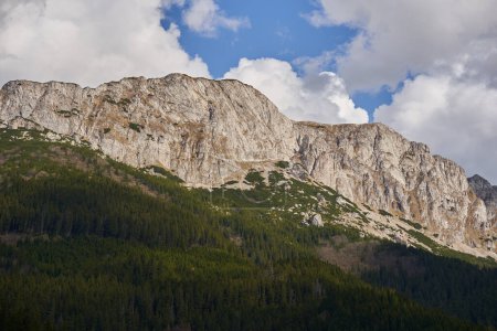 Alpine landscape with rocky mountains and pine forests, sky and fluffy clouds