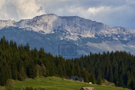 Landscape with rocky mountains and pine and fir forests
