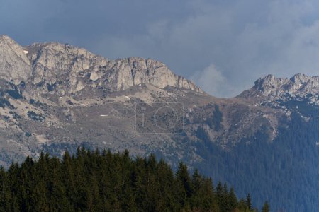 Landscape with rocky mountains and pine and fir forests