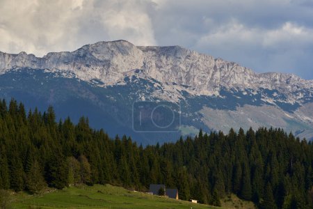 Landschaft mit felsigen Bergen und Kiefern- und Tannenwäldern