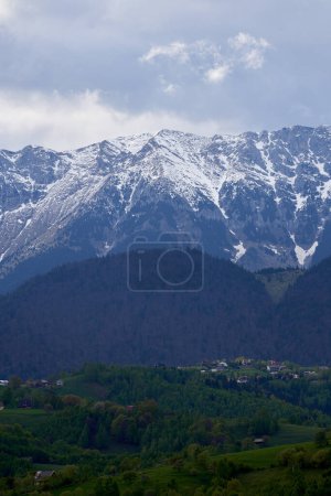 Foto de Montañas cubiertas de nieve y bosques de pinos a principios de verano, paisajes pintorescos - Imagen libre de derechos