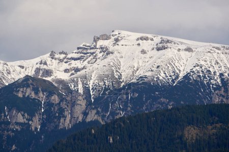 Berge mit Schnee und Kiefernwälder im Frühsommer, malerische Landschaften