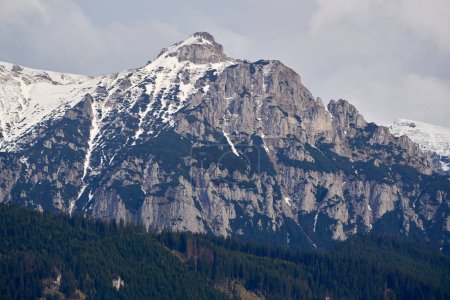 Berge mit Schnee und Kiefernwälder im Frühsommer, malerische Landschaften