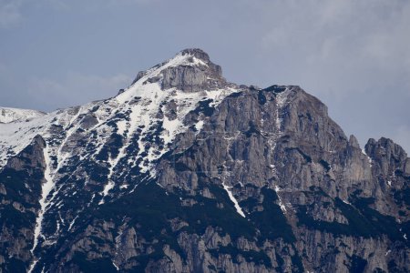 Téléchargez les photos : Montagnes couvertes de neige et de pinèdes au début de l'été, paysages pittoresques - en image libre de droit
