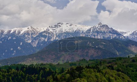 Mountains capped with snow and pine forests in the early summer, picturesque landscapes