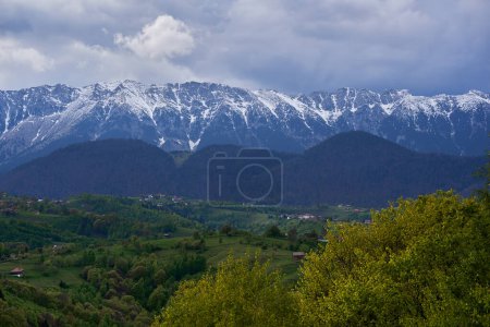 Mountains capped with snow and pine forests in the early summer, picturesque landscapes