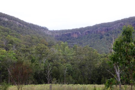 Téléchargez les photos : Beau paysage le long de la Condamine River Road près de Killarney, Queensland. Avec montagnes, forêt, arbres et rivière - en image libre de droit