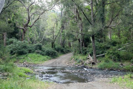 Foto de Hermoso paisaje a lo largo de la carretera del río Condamine cerca de Killarney, Queensland. Con montañas, bosques, árboles y ríos - Imagen libre de derechos