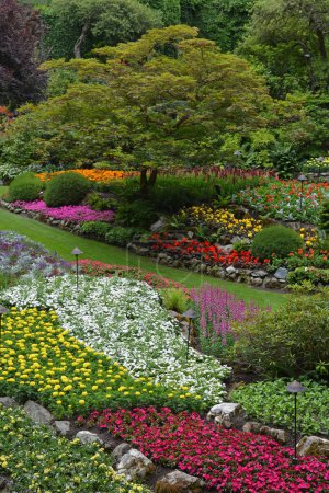 Téléchargez les photos : Jardin botanique d'été du nord-ouest pacifique coloré - en image libre de droit