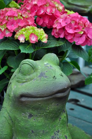 Téléchargez les photos : Jolie grenouille décorative verte avec des fleurs d'hortensia rose - en image libre de droit