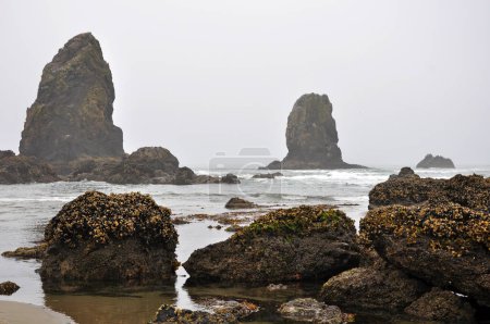 Téléchargez les photos : Vue de la plage de l'Oregon avec rochers imposants et surf - en image libre de droit