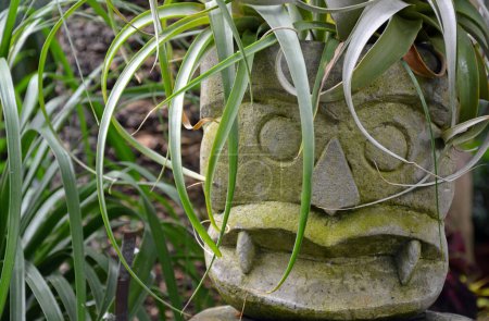 Téléchargez les photos : Planteuse décorative de style tiki dans le jardin - en image libre de droit