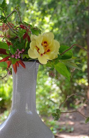 Téléchargez les photos : Arrangement floral pivoine jaune en vase - en image libre de droit