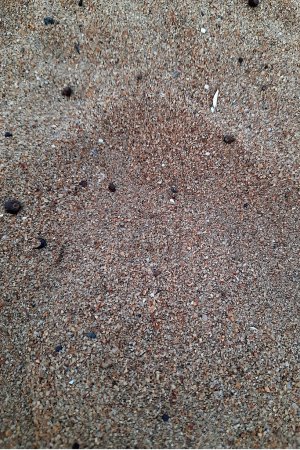 Close-up of white and pink shades of sand grains on beach