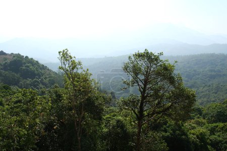 Vue du paysage à Talakavery près de Madikeri dans le district de Kodagu, Karnataka, Inde, Asie