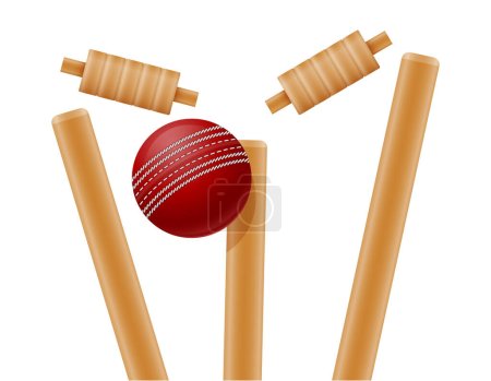 puerta de cricket y bola para un juego de deportes vector de stock ilustración aislado sobre fondo blanco
