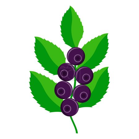 Ilustración de Blueberry food flat icon vector illustration isolated on white background - Imagen libre de derechos