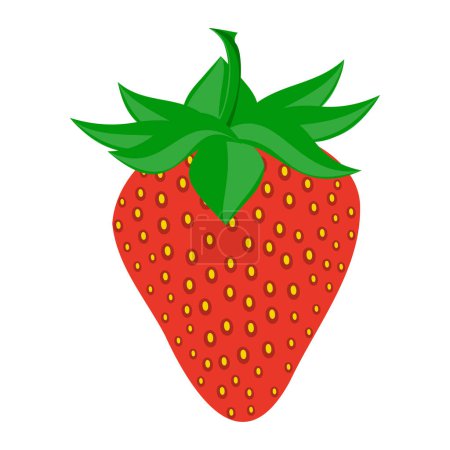 Illustration for Strawberry berry food flat icon vector illustration isolated on white background - Royalty Free Image