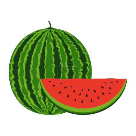 Illustration for Watermelon food flat icon vector illustration isolated on white background - Royalty Free Image