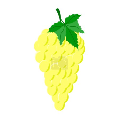 Illustration for Grape berry food flat icon vector illustration isolated on white background - Royalty Free Image
