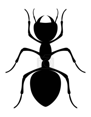 Téléchargez les illustrations : Fourmis insectes faune animaux vecteur illustration isolé sur fond blanc - en licence libre de droit